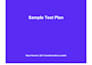 create a professional test plan and test strategy for your application